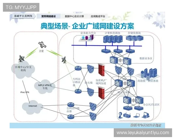 开云网络在数字化转型中的关键作用与未来发展趋势分析