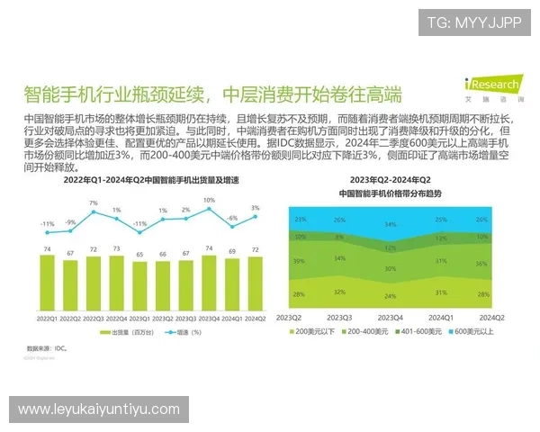 开云集团中国市场布局与消费者行为分析研究报告