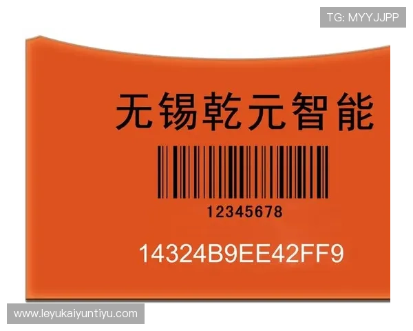 开云官网登录账号安全保障措施及密码重置流程全面解析保障用户信息安全